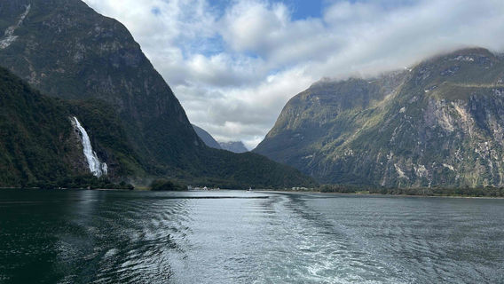 Milford Sound Scenic Cruises