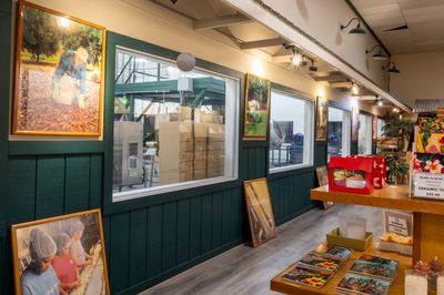 Hāmākua Macadamia Nut Company