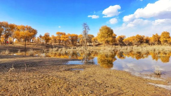 dao lang hu yang lin chang