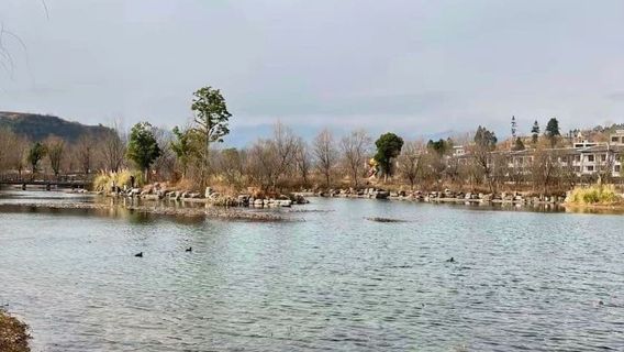 ke le yi zhi han dai cheng zhi