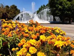 Pleven Water Cascades and Fountains