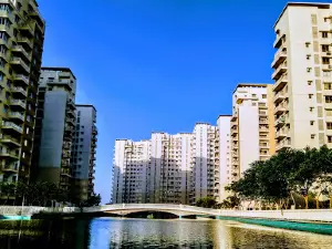 Adani Shantigram Cricket Ground