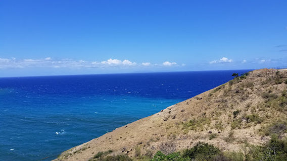 Montserrat National Trust