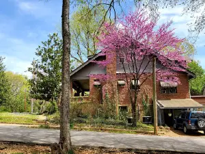 Ferguson Grove Park