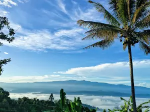 Bukit ASA, Tolitoli, Sulteng
