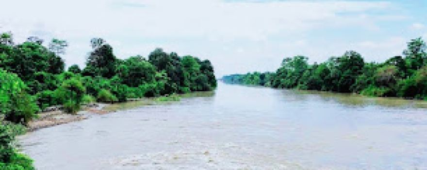 Nirgajni jhal
