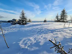 Naturschutzgebiet Kleiner Arbersee