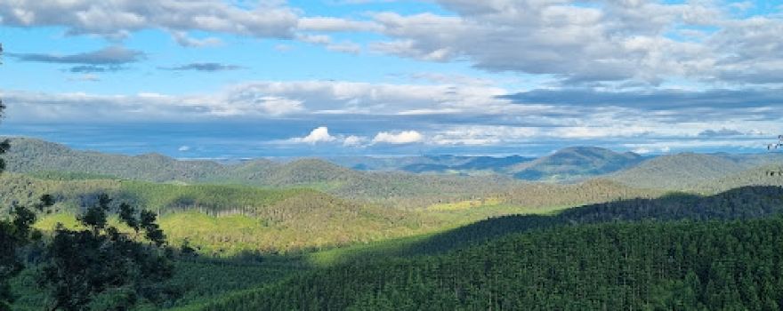 Imbil Forrest Lookout