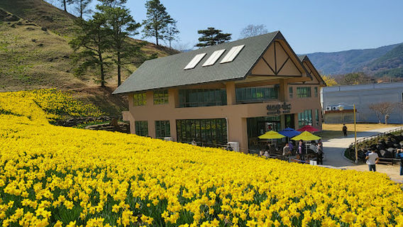 Jirisan Cheese Land