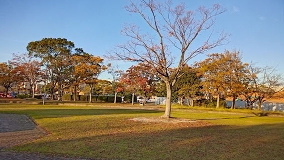 Okawa City Gymnasium