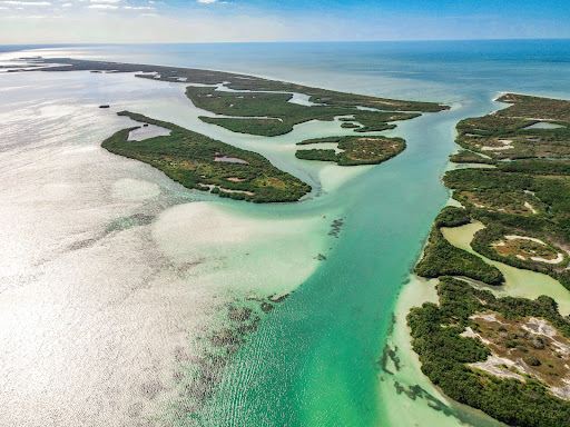 Playa Río Lagartos