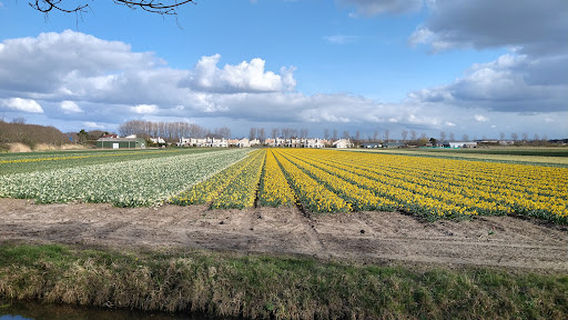 De Ruigenhoek Goed Kamp