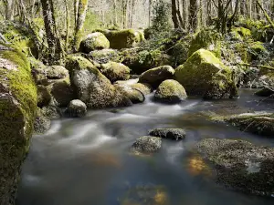 Le Roc Branlant