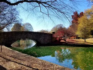 Freedom Park