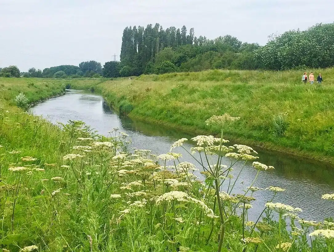 세일 워터 공원 주변 호텔