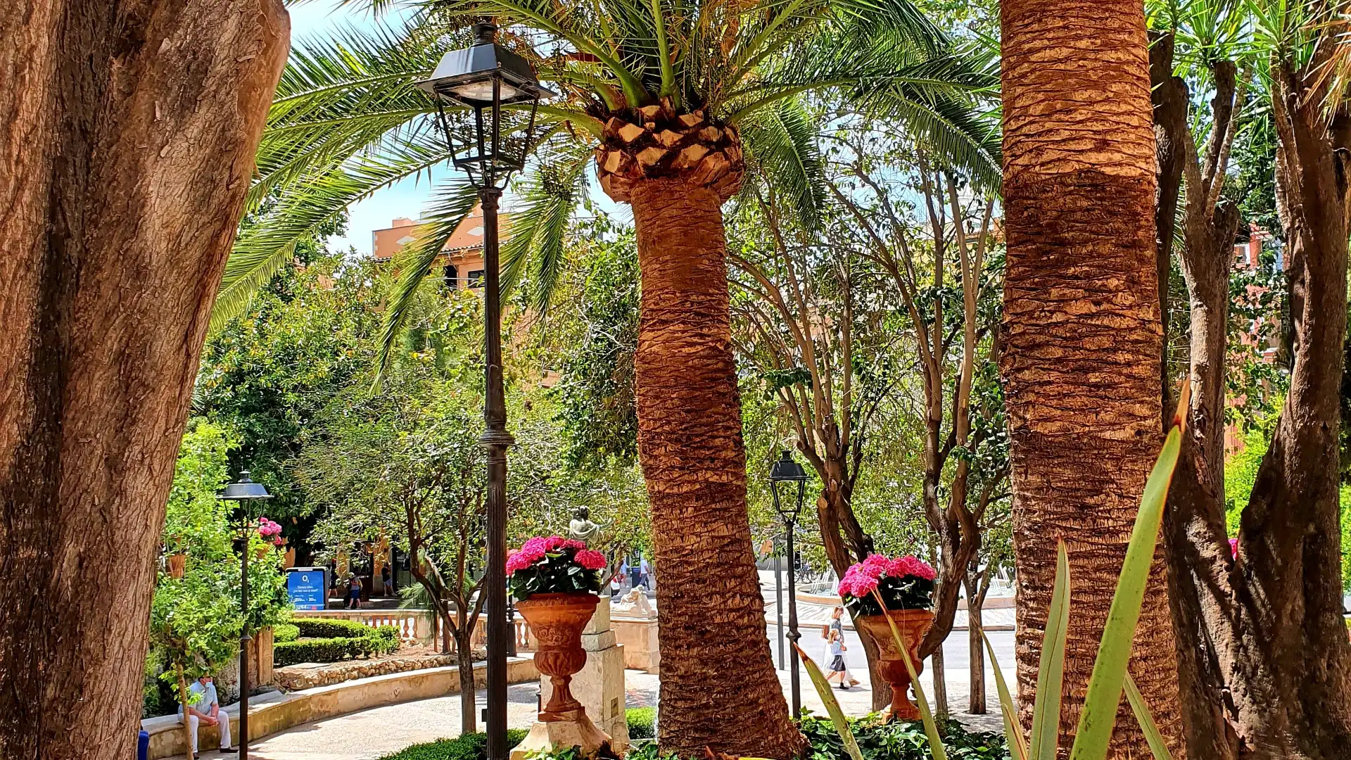 Hotels near Jardines de S'Hort del Rei