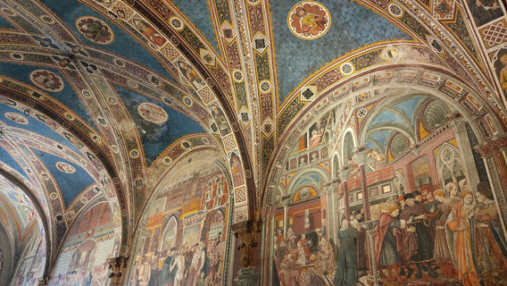 Siena
