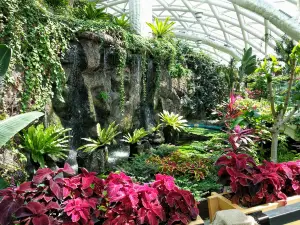 Konya Tropical Butterfly Garden