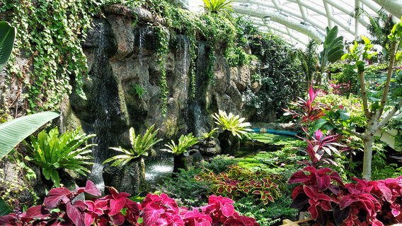 Konya Tropical Butterfly Garden