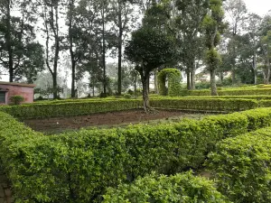 Yercaud Rose Garden