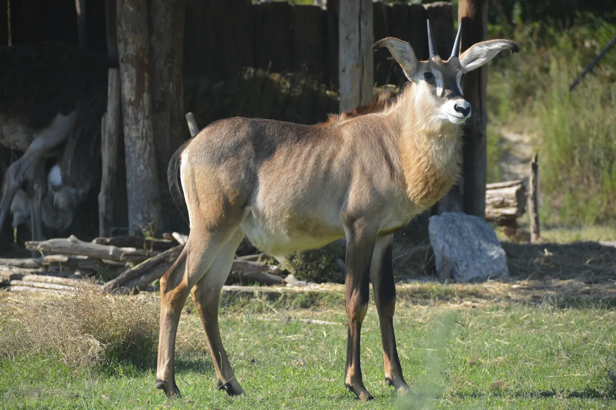 5_Parco Natura Viva