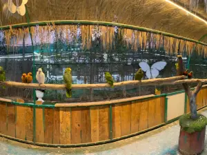 UAE Pygmy Zoo