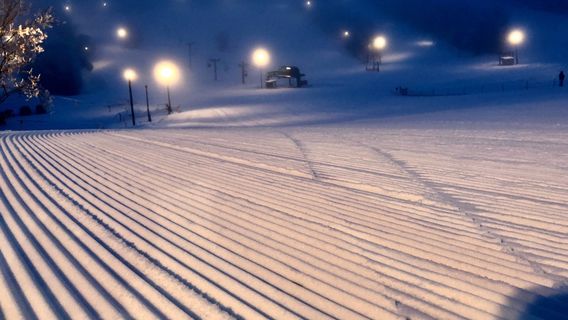 Bottineau Winter Park