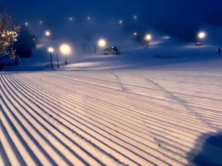 Bottineau