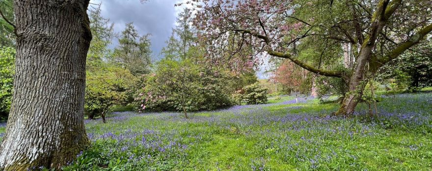 Ramster Gardens