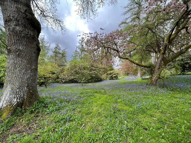 Hotels in Chiddingfold