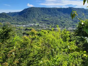 Mindo Canopy Adventure
