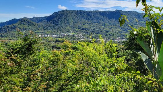 Mindo Canopy Adventure