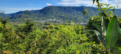 Mindo Canopy Adventure