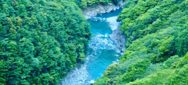 Hotels in Miyoshi