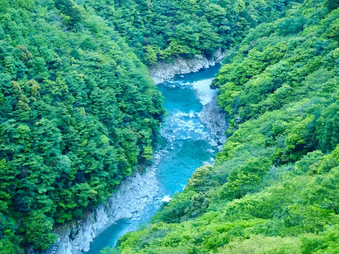 Hotels near Iyakei Valley