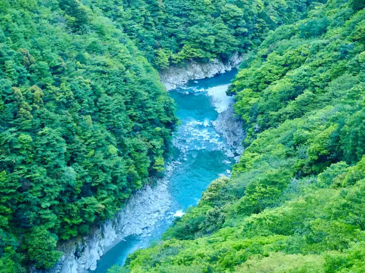 Hotels in Miyoshi
