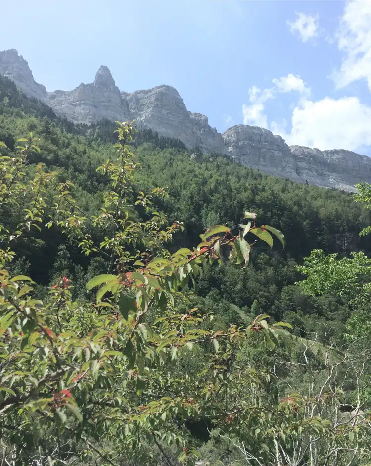 Santa Margarida de Montbui