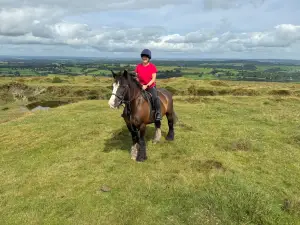 Cholwell Riding Stables.