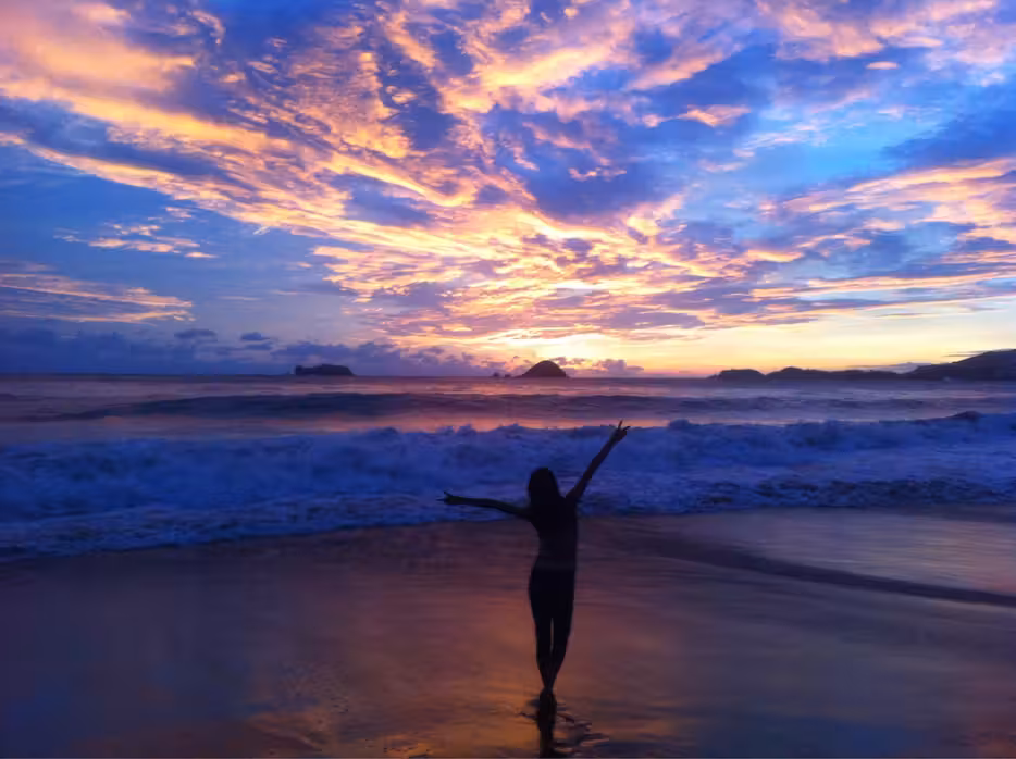 Vol ${{cityDName}} Ixtapa