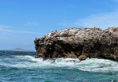 Punta De Mita