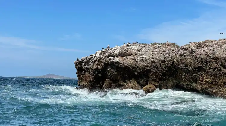 Hotels near Punta De Mita