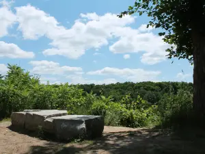 Albion Hills Conservation Park