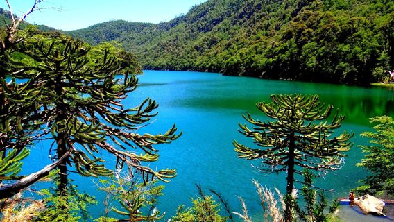 Huerquehue National Park