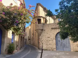 Pezenas Market