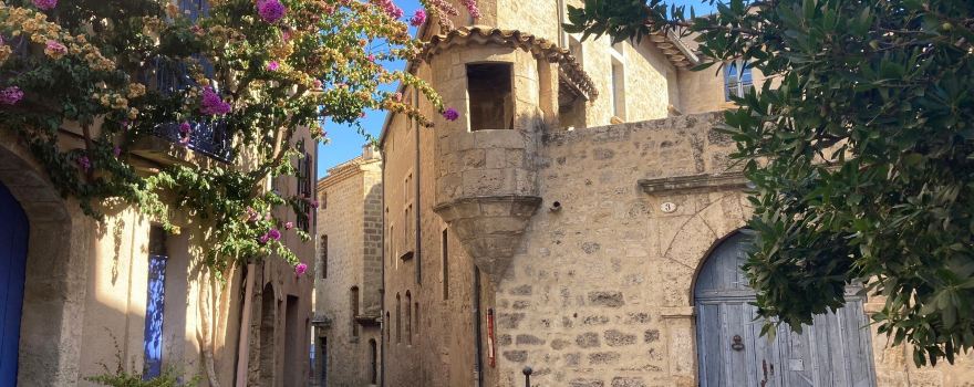 Pezenas Market