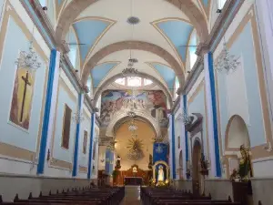 Museo Silva Federico