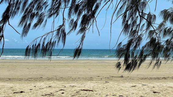 Cabo Tribulation