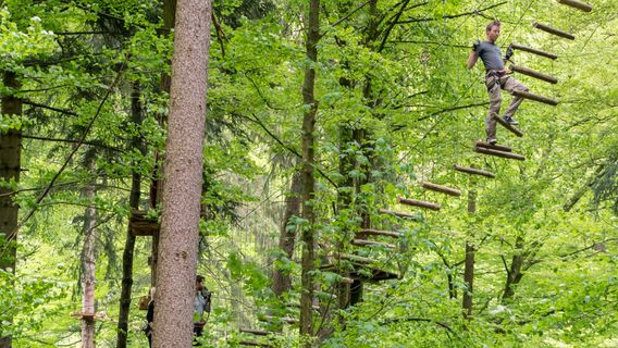 Parc d'Aventure Interlaken