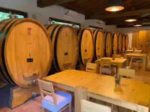 Cantina Sant'Andrea Azienda Agricola