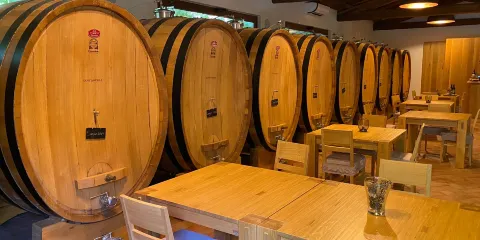 Cantina Sant'Andrea Azienda Agricola